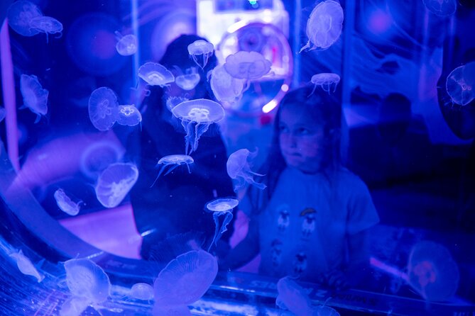 SEA LIFE Birmingham Admission Ticket - Getting there and using the mobile ticket