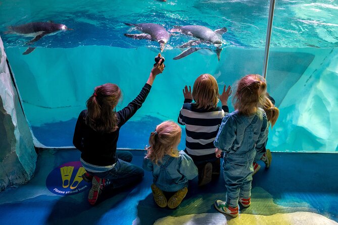 SEA LIFE Birmingham Admission Ticket - Who will enjoy SEA LIFE Birmingham most