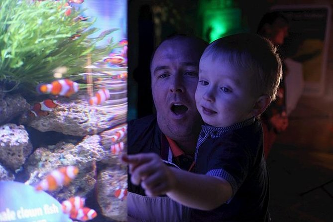 SEA LIFE Blackpool Admission Ticket - Why the underwater tunnel is the main event