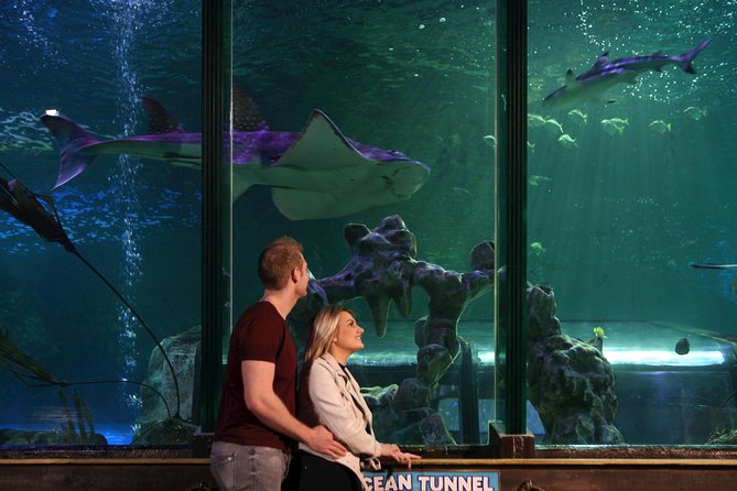SEA LIFE Blackpool Admission Ticket - Tropical reefs and a close look at stingrays