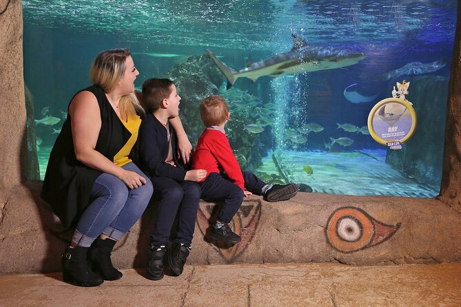 SEA LIFE Blackpool Admission Ticket - Seahorse Kingdom shows the quieter side of the sea