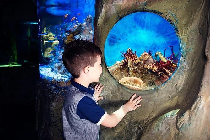 SEA LIFE Blackpool Admission Ticket - Jellyfish and the submarine-style ocean section