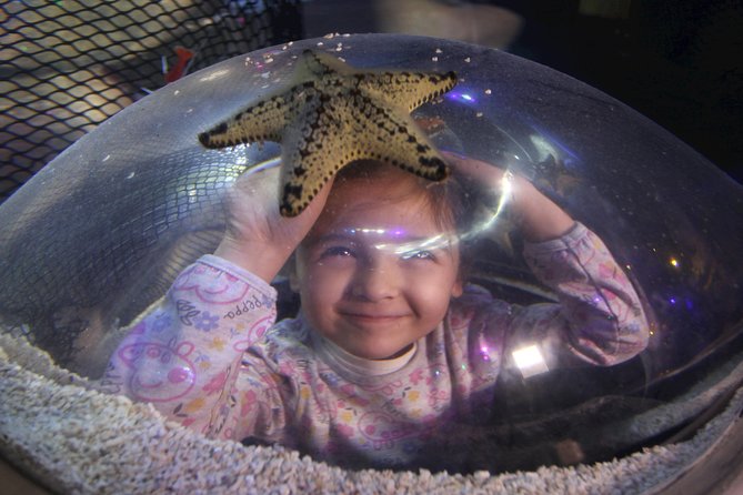 SEA LIFE Blackpool Admission Ticket - Sea Stars offers small details worth finding
