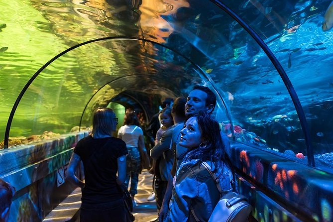 Sea Life Brighton Admission Ticket - How long to allow for the visit