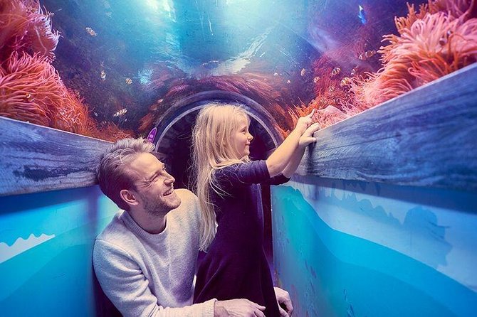 Sea Life Brighton Admission Ticket - Staff, facilities, and food