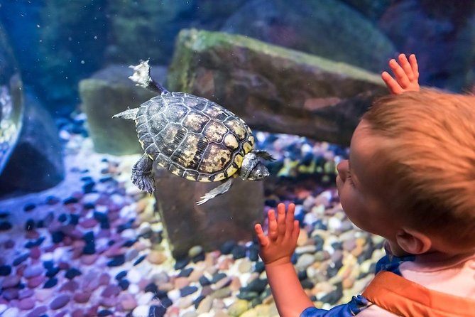 Sea Life Brighton Admission Ticket - The Rainforest Adventure and tropical shore