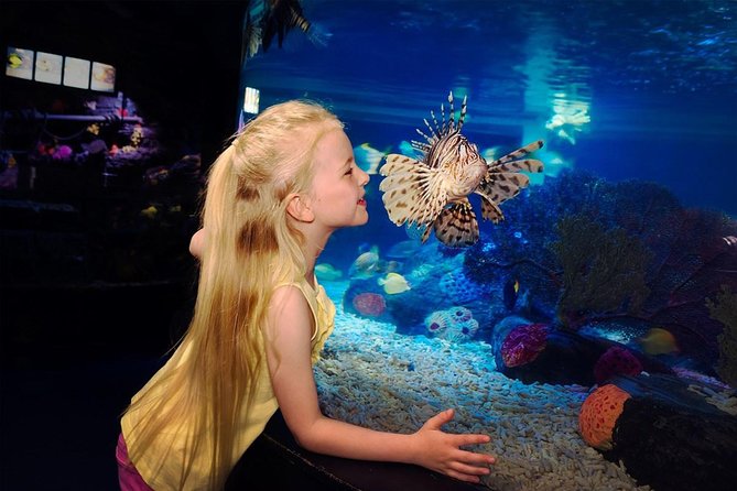 SEA LIFE Great Yarmouth General Admission - The 250,000-litre ocean display is the main event
