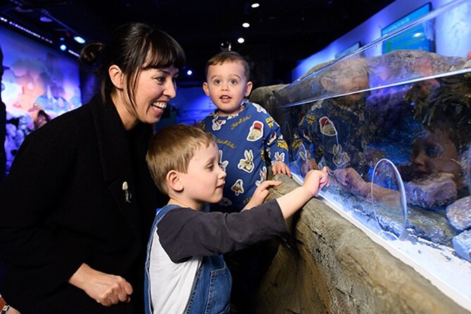 SEA LIFE London Aquarium Admission Ticket - What SEA LIFE London Aquarium is really like