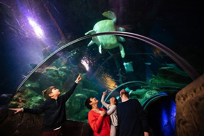SEA LIFE London Aquarium Admission Ticket - Rainforest Adventure and the smaller creatures