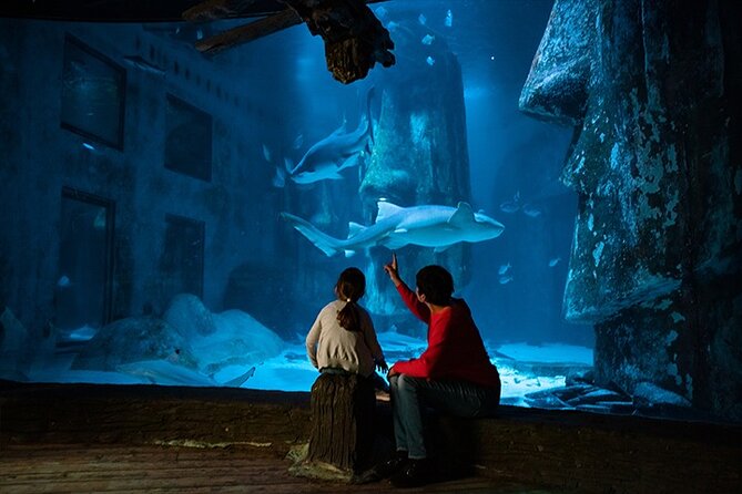 SEA LIFE London Aquarium Admission Ticket - Is the ticket good value at $38.48?