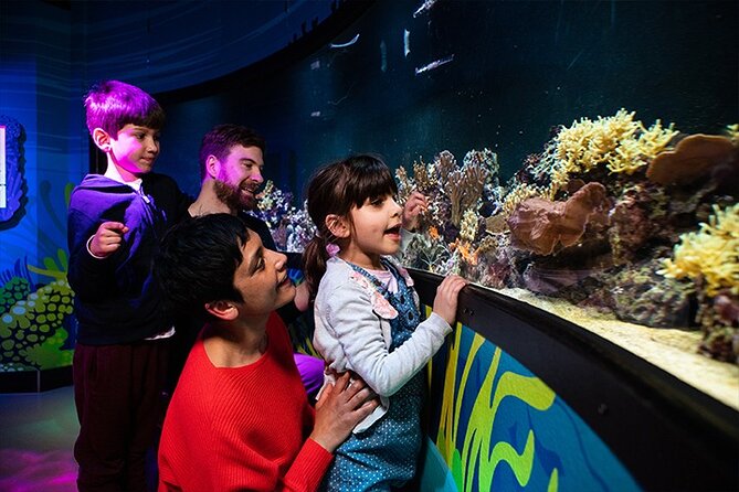 SEA LIFE London Aquarium Admission Ticket - Who will enjoy SEA LIFE London most?
