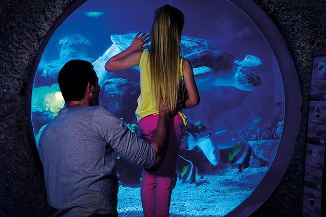 SEA LIFE Manchester Admission Ticket - A compact aquarium with a strong family focus
