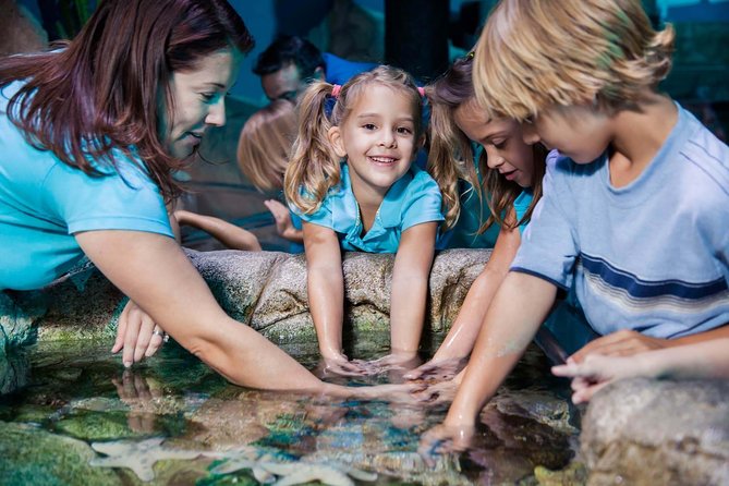SEA LIFE Manchester Admission Ticket - Octopus Prime, shipwreck creatures, and the first sharks