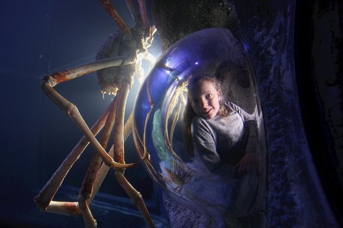 SEA LIFE Manchester Admission Ticket - Rockpools offer the most hands-on moment