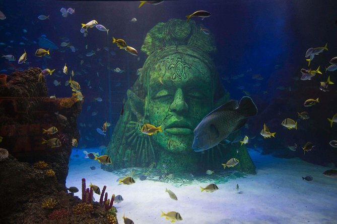 SEA LIFE Manchester Admission Ticket - Conservation Cove gives the visit a purpose