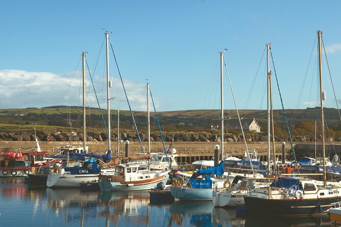 Shore Excursion: Giants Causeway Tour From Belfast Port - Port Timing Matters More Than Usual