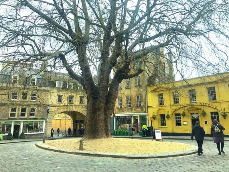Stonehenge, Bath, Windsor and Roman Baths London Day Tours - Timing, group size, and the value of $105.07