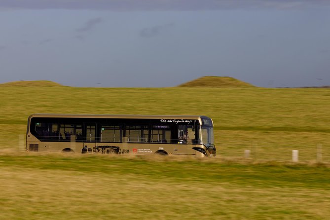 Stonehenge Shuttle Bus from London with Optional Fish & Chips - Is $80.89 good value?