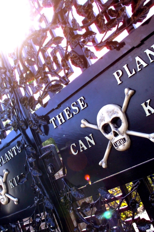 The Alnwick Garden: Entry Ticket - Test yourself in the Bamboo Labyrinth